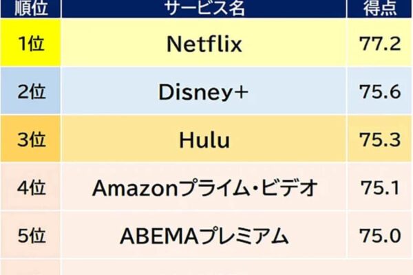 24年満足度の高い定額制動画配信サービス、総合1位はネットフリックスに【オリコン調べ】