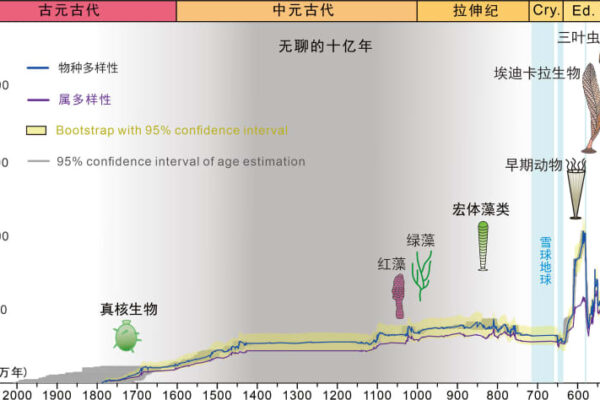 中国内外の研究機関、初期地球の高精度生物多様性曲線を作成