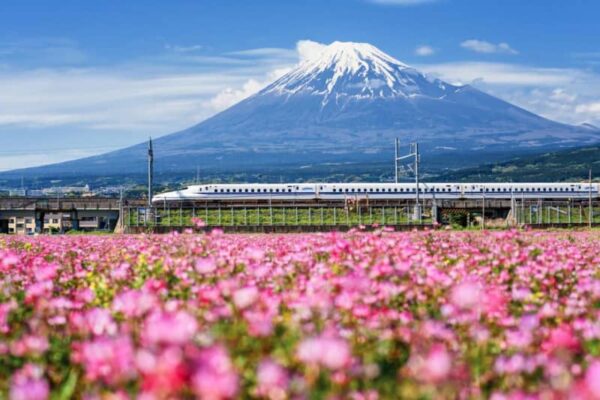 【頻尿・尿漏れ】旅行中のトイレが気になる人は必見！長時間外出を乗り切る方法とは？