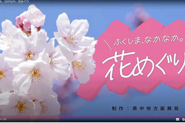 県中の花の名所、動画で紹介　5言語対応、インバウンド促進へ